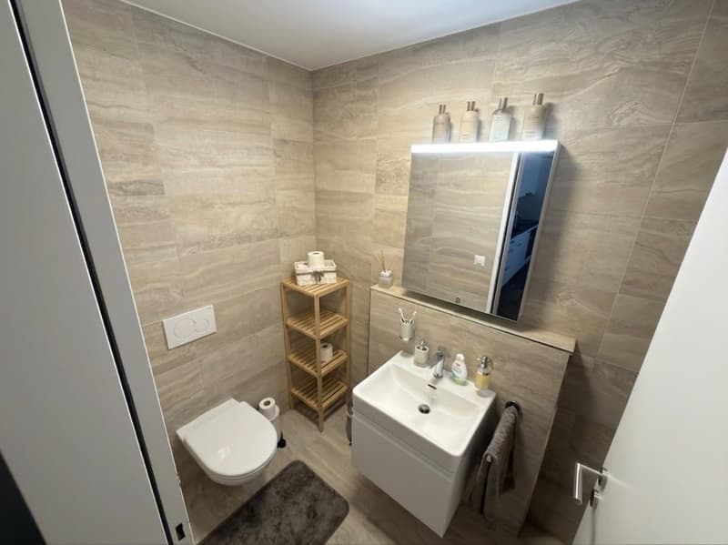 2.5 Zimmer Wohnung (6)
