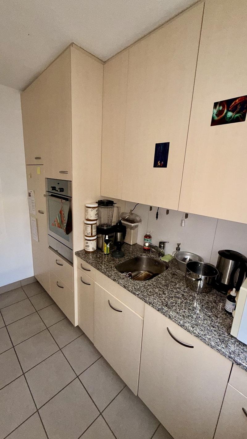 Vollständig möblierte Wohnung zur vorübergehenden Miete in Zürich Altstetten (5)