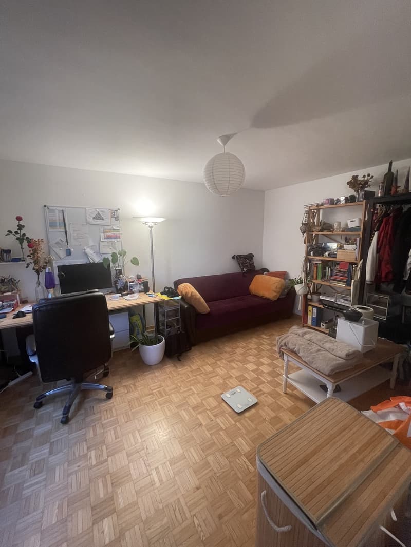 Vollständig möblierte Wohnung zur vorübergehenden Miete in Zürich Altstetten (9)