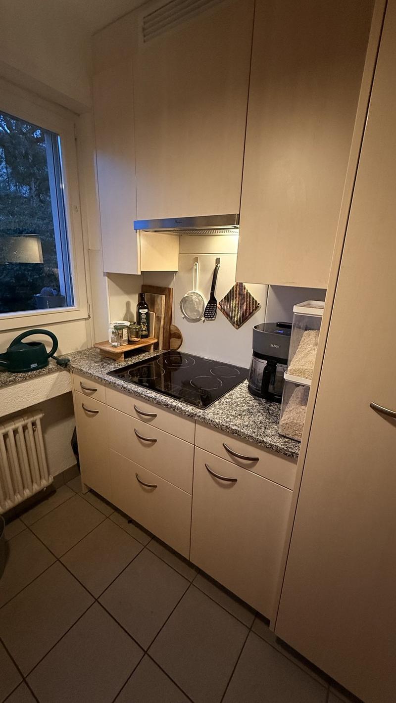 Vollständig möblierte Wohnung zur vorübergehenden Miete in Zürich Altstetten (4)