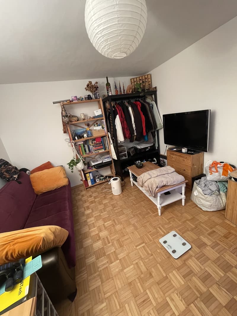 Vollständig möblierte Wohnung zur vorübergehenden Miete in Zürich Altstetten (11)