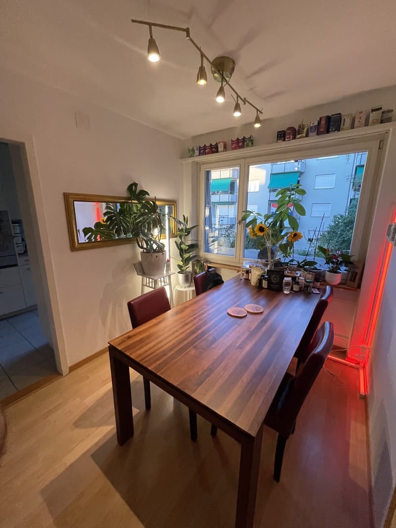 Vollständig möblierte Wohnung zur vorübergehenden Miete in Zürich Altstetten (2)