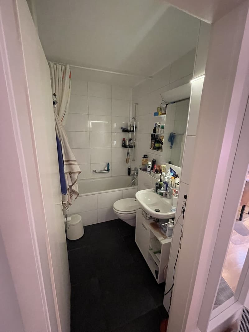 Vollständig möblierte Wohnung zur vorübergehenden Miete in Zürich Altstetten (12)
