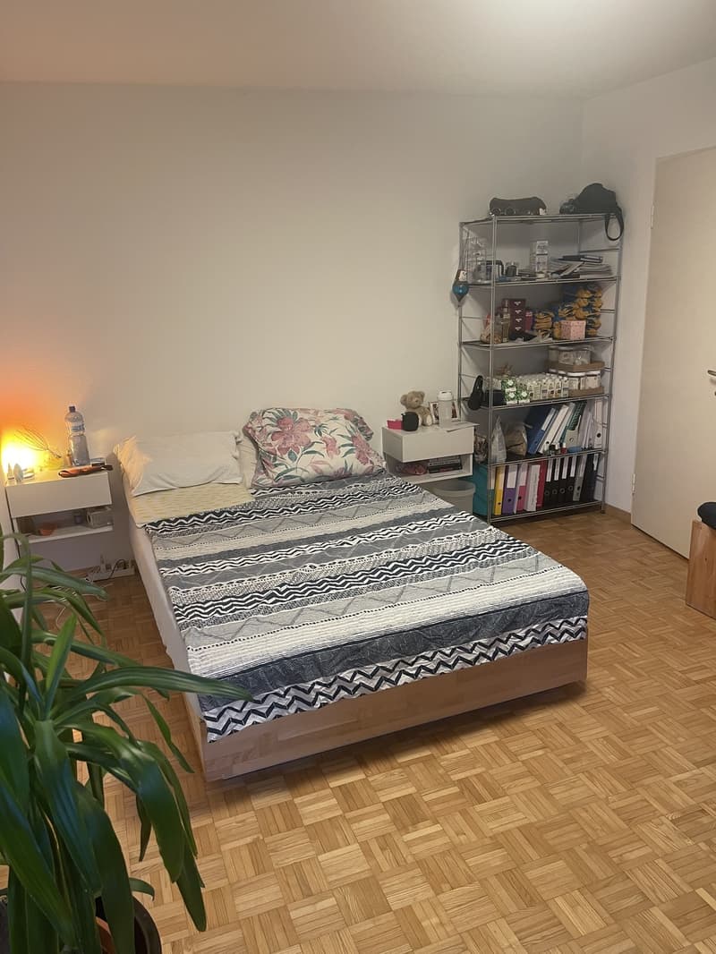 Vollständig möblierte Wohnung zur vorübergehenden Miete in Zürich Altstetten (7)