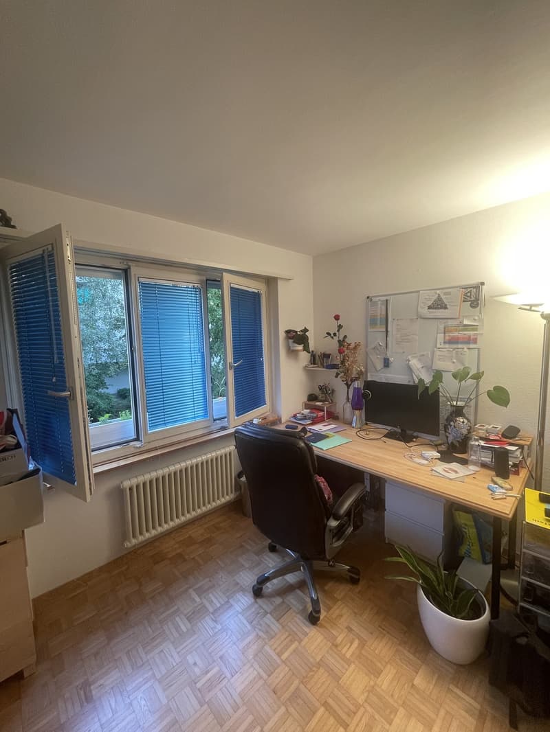 Vollständig möblierte Wohnung zur vorübergehenden Miete in Zürich Altstetten (10)