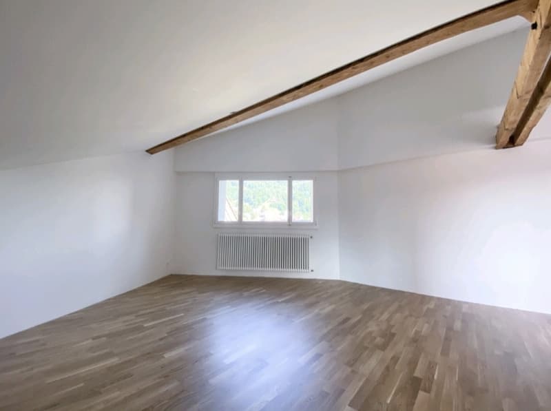 1.5-Zimmer Dachwohnung mitten im Zentrum Thuns (7)
