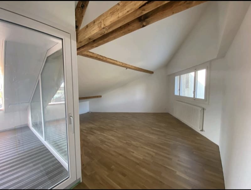 1.5-Zimmer Dachwohnung mitten im Zentrum Thuns (6)