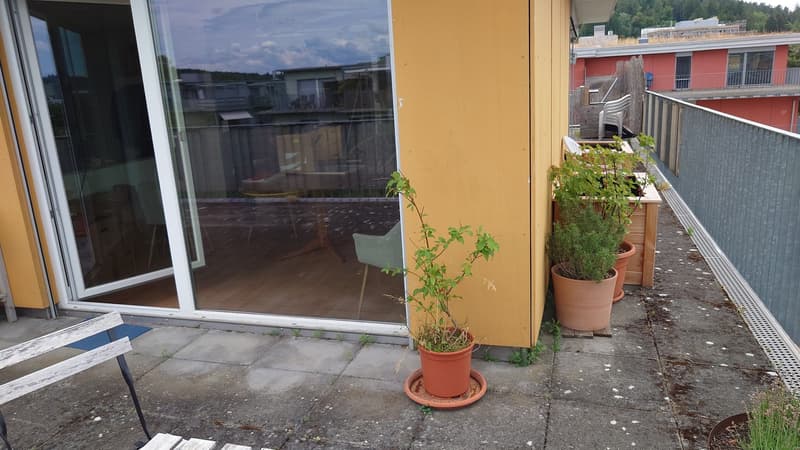 Attikawohnung mit grosser Terrasse 3.5 Zimmer (9)