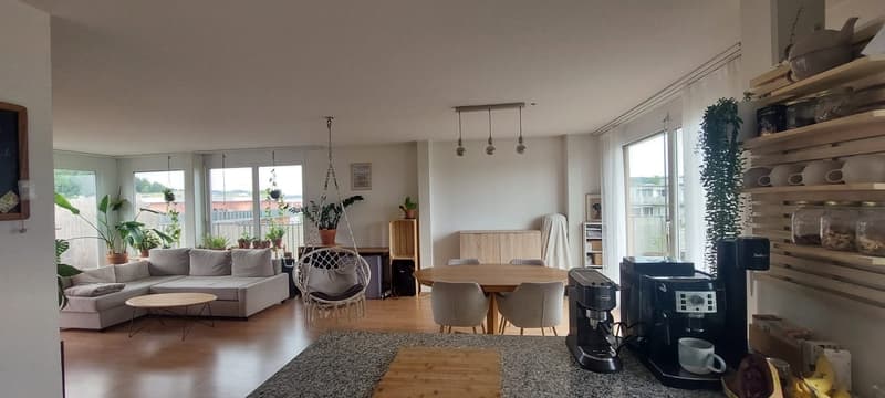 Attikawohnung mit grosser Terrasse 3.5 Zimmer (1)