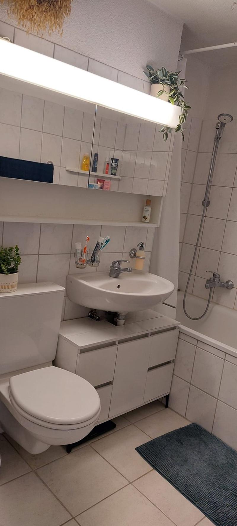 Attikawohnung mit grosser Terrasse 3.5 Zimmer (11)