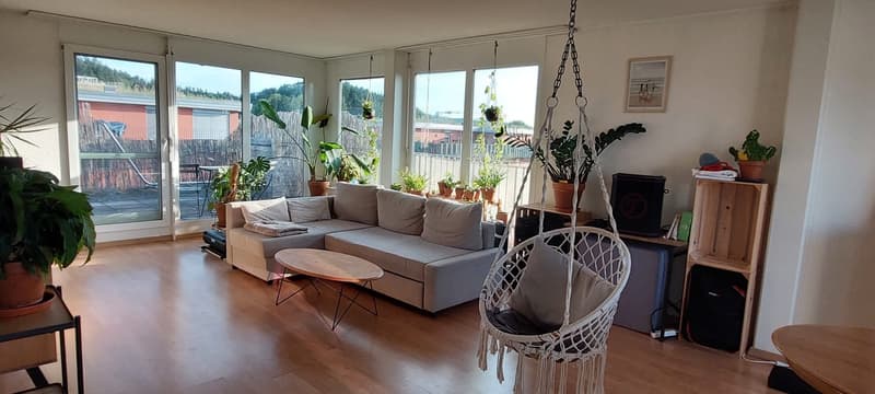 Attikawohnung mit grosser Terrasse 3.5 Zimmer (2)