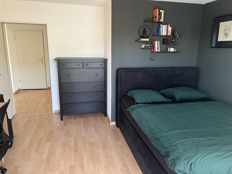 Attikawohnung mit grosser Terrasse 3.5 Zimmer (10)