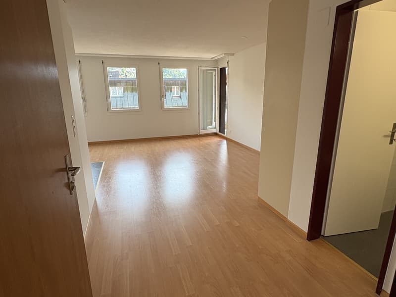 Schöne, helle 2,5-Zimmer-Wohnung mit Blick auf den Pilatus (1)