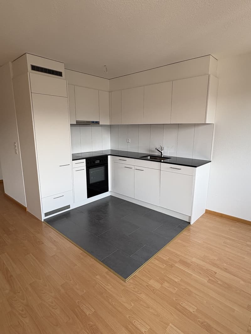 Schöne, helle 2,5-Zimmer-Wohnung mit Blick auf den Pilatus (3)