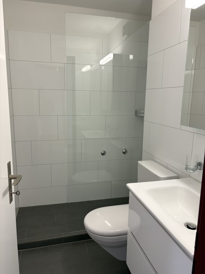 Schöne, helle 2,5-Zimmer-Wohnung mit Blick auf den Pilatus (4)