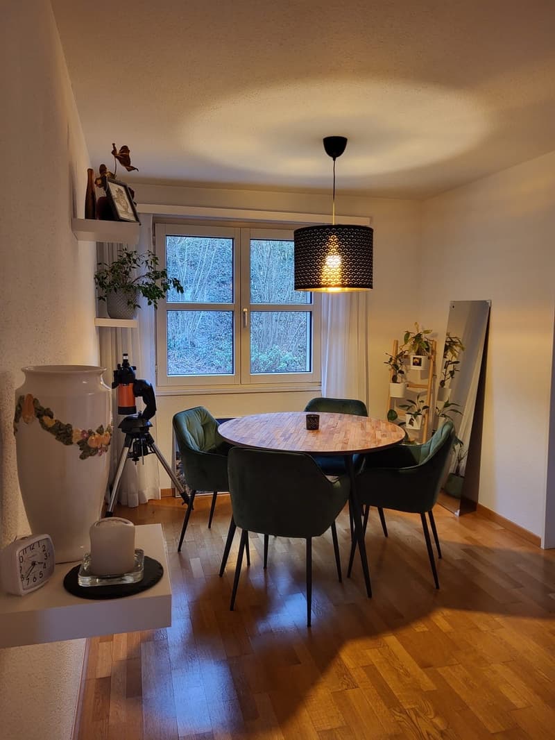 3½-Zimmer-Wohnung in Oberrohrdorf zu vermieten (1)