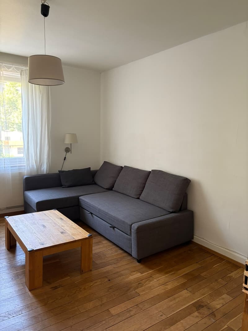 Ruhige Altbauwohnung (6)