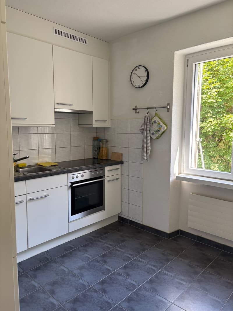 Ruhige Altbauwohnung (4)
