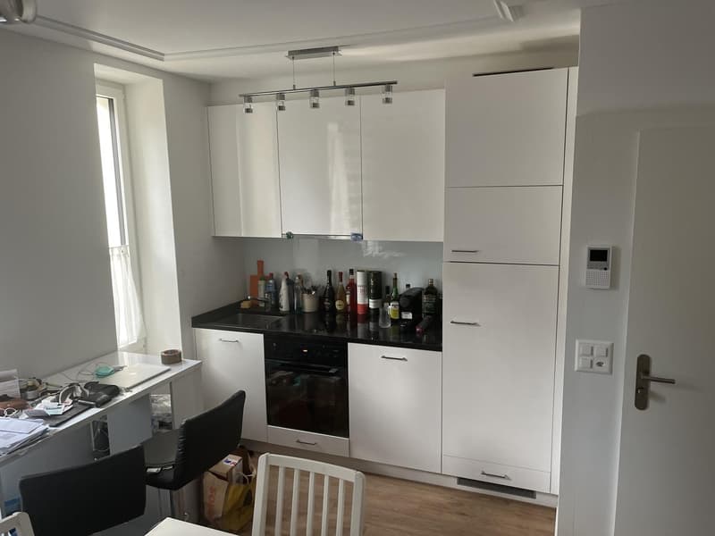 Small 2.5 apartment to rent in Zurich Wollishofen (4)