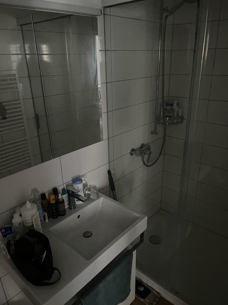 Small 2.5 apartment to rent in Zurich Wollishofen (2)