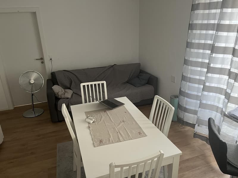 Small 2.5 apartment to rent in Zurich Wollishofen (1)