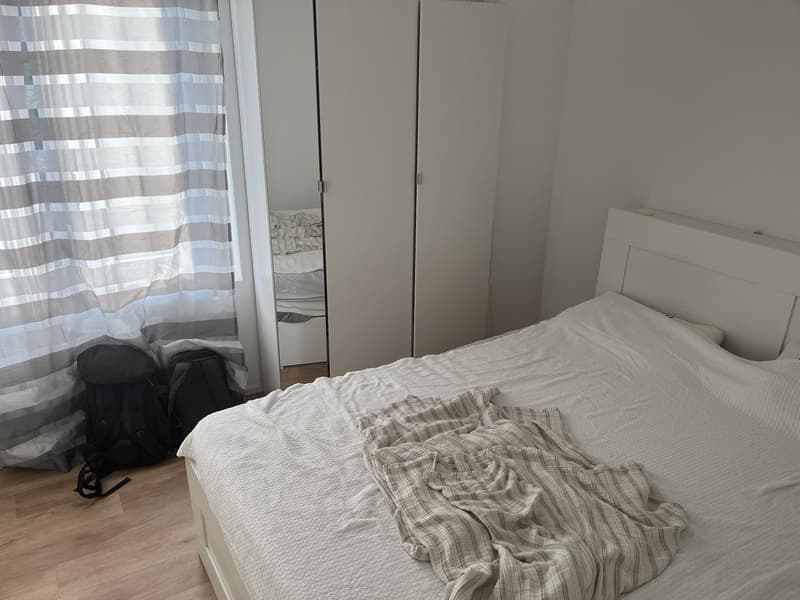 Small 2.5 apartment to rent in Zurich Wollishofen (3)