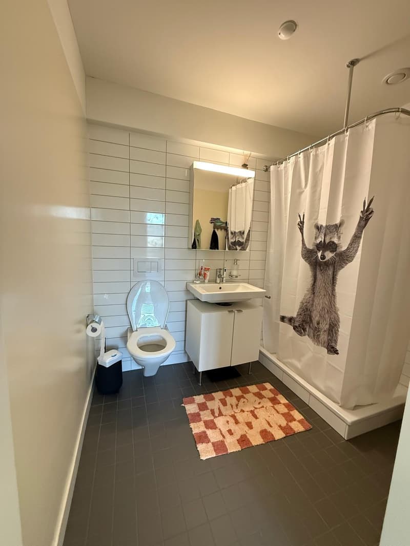Möblierte 2.5-Zimmer-Wohnung zur Untermiete (01.10.2026 31.03.2027) (8)