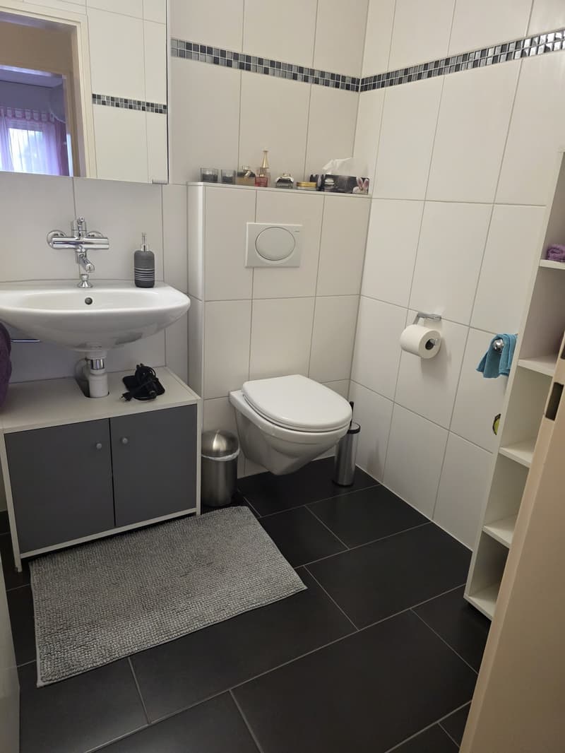 4.5-room apartment in a family-friendly neighborhood (6)