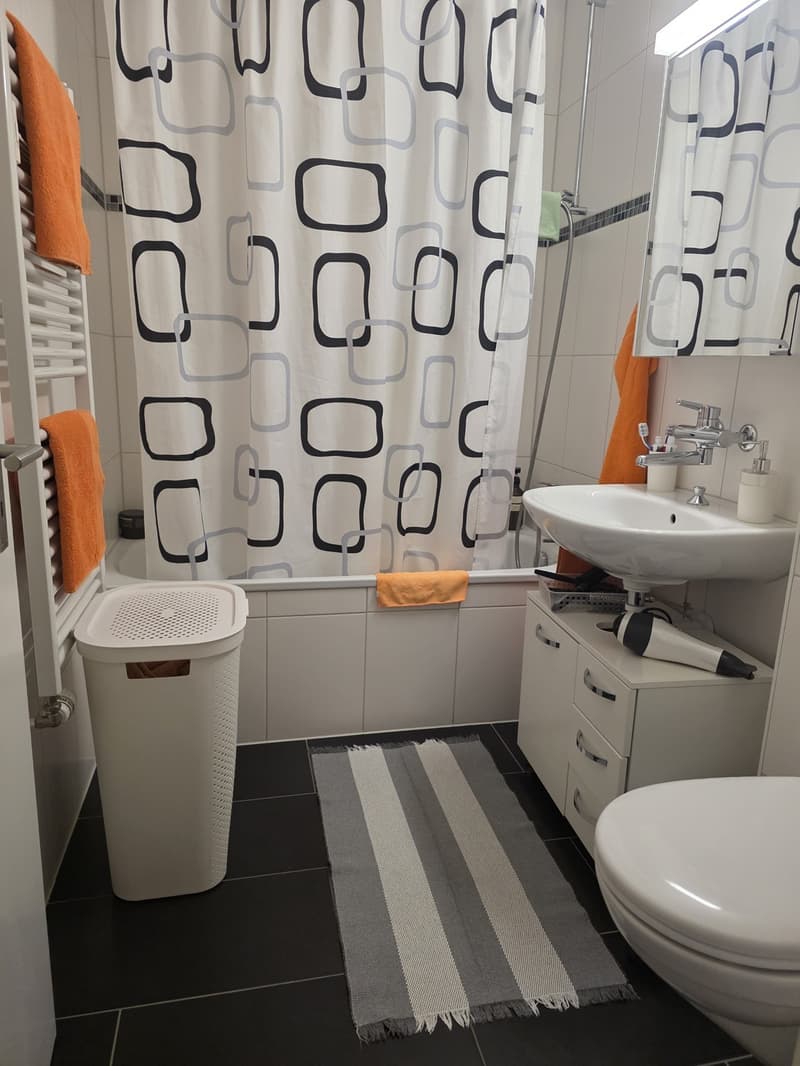 4.5-room apartment in a family-friendly neighborhood (5)