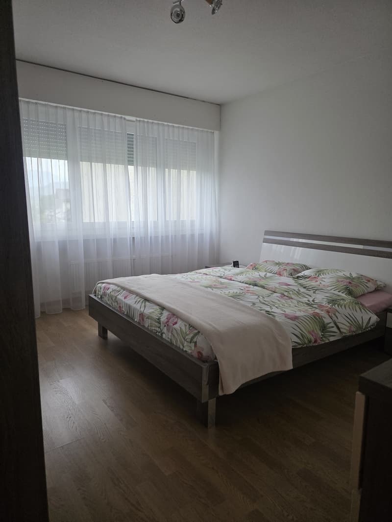 4.5-room apartment in a family-friendly neighborhood (2)
