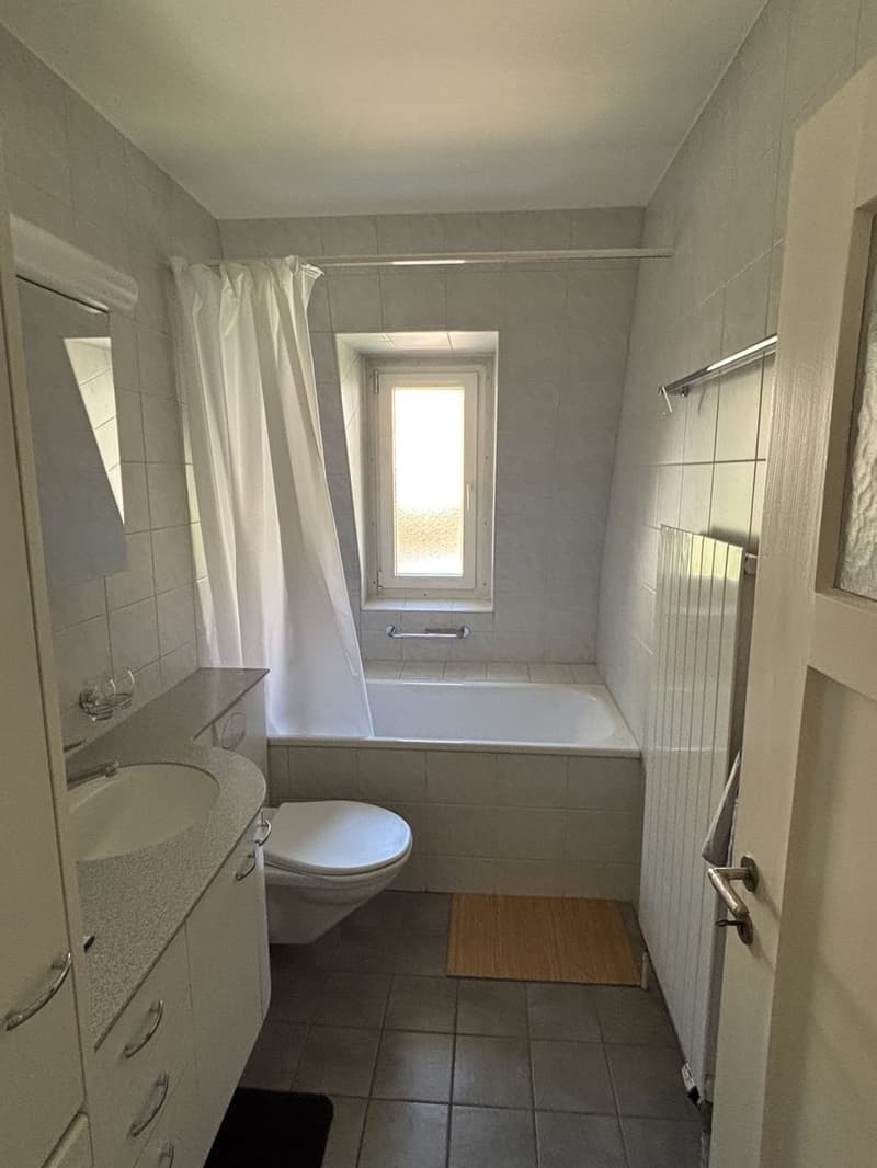 Möblierte Wohnung in Baden AG, verfügbar ab 15 September 2026 (10)