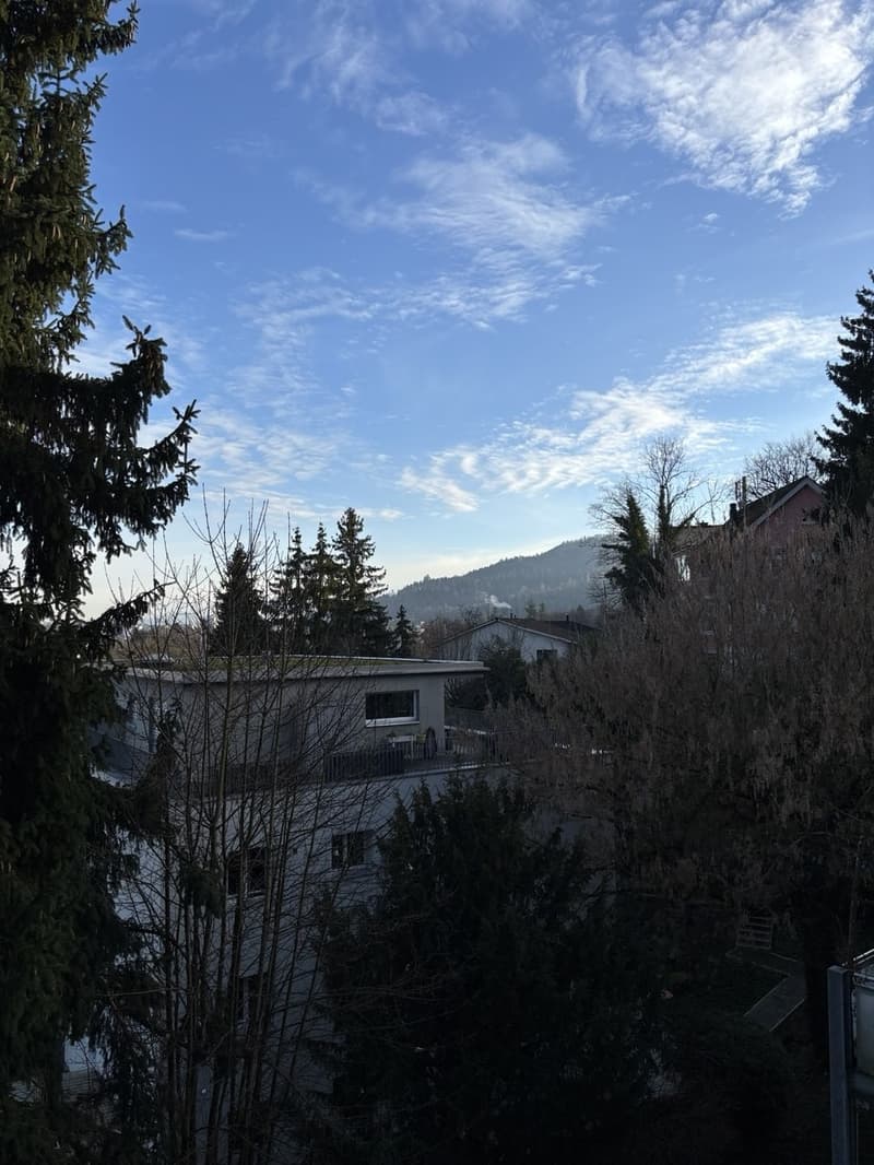 Möblierte Wohnung in Baden AG, verfügbar ab 15 September 2026 (12)