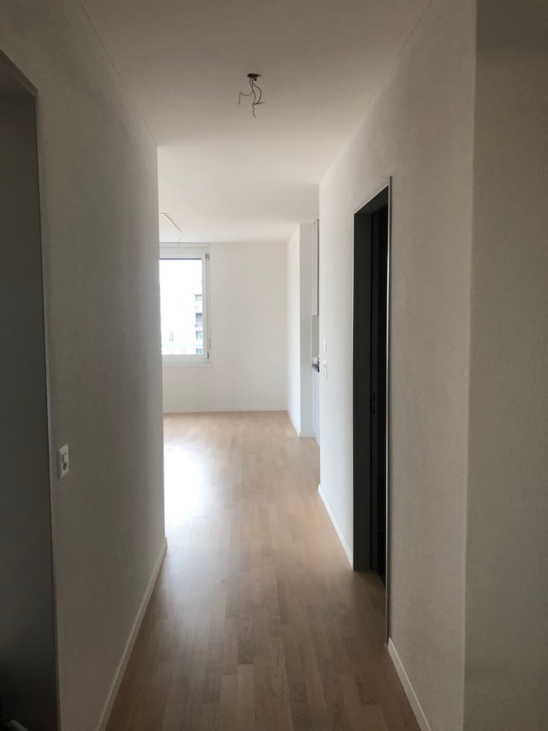 3.5-room apartment for subletting in Wallisellen (3)