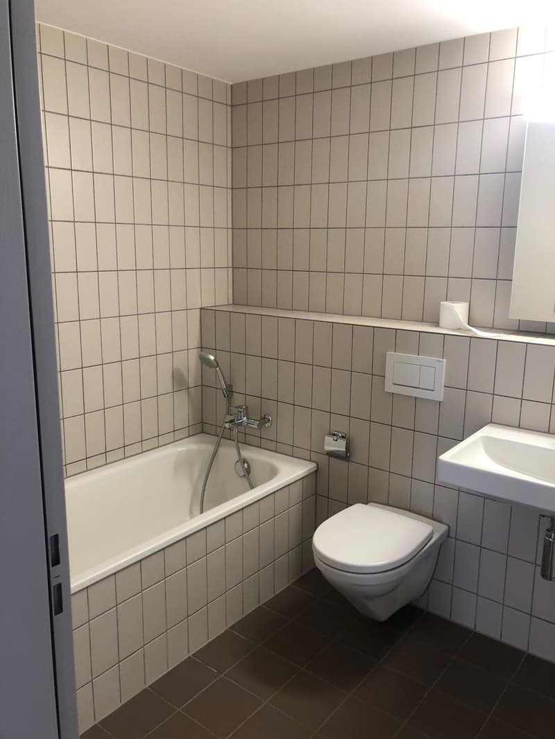 3.5-room apartment for subletting in Wallisellen (5)