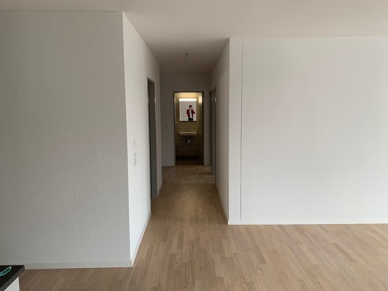 3.5-room apartment for subletting in Wallisellen (4)