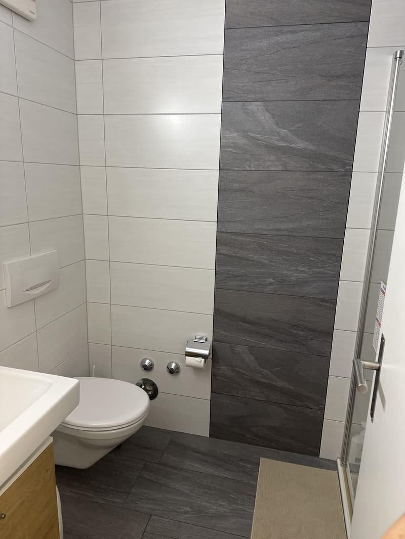 Moderne 3.5-Zimmer-Erdgeschosswohnung mit Terrasse (90m2) (5)