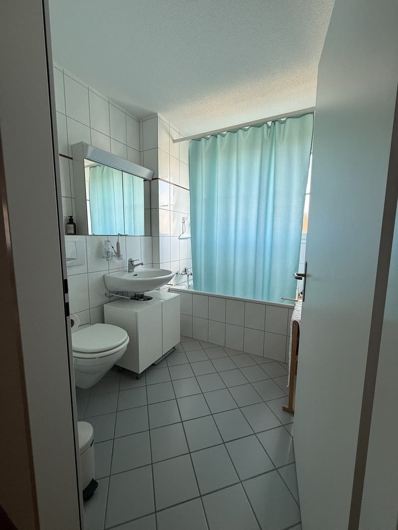 Charming 4.5-room apartment for rent in Dinhard (4)