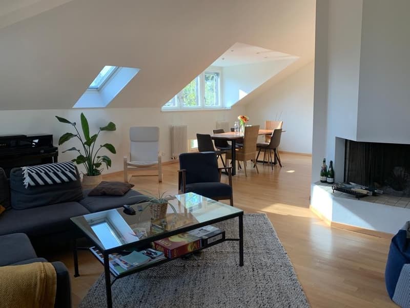 WG-Zimmer in unserer wunderschönen Wohnung in Hottingen wird frei. (1)