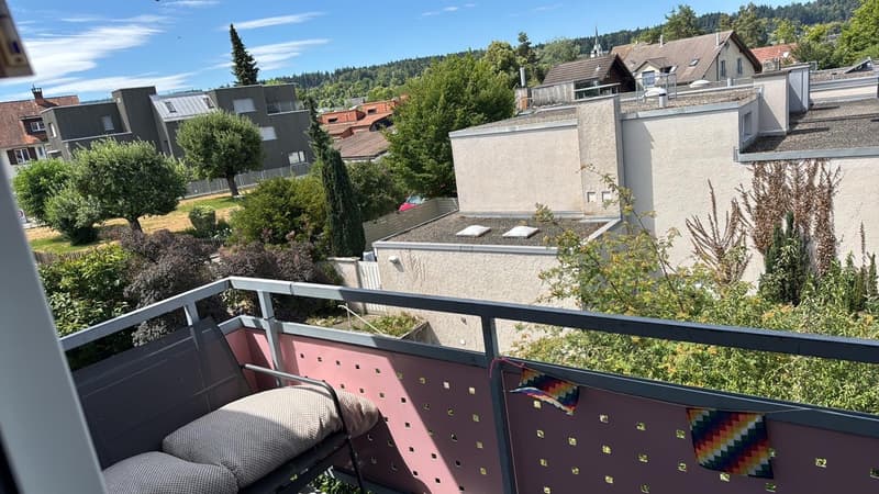 4-Zimmer-Wohnung in Winterthur Seen  Nachmieter gesucht ab 01.08.2026 (7)