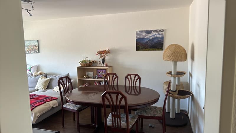 4-Zimmer-Wohnung in Winterthur Seen  Nachmieter gesucht ab 01.08.2026 (2)