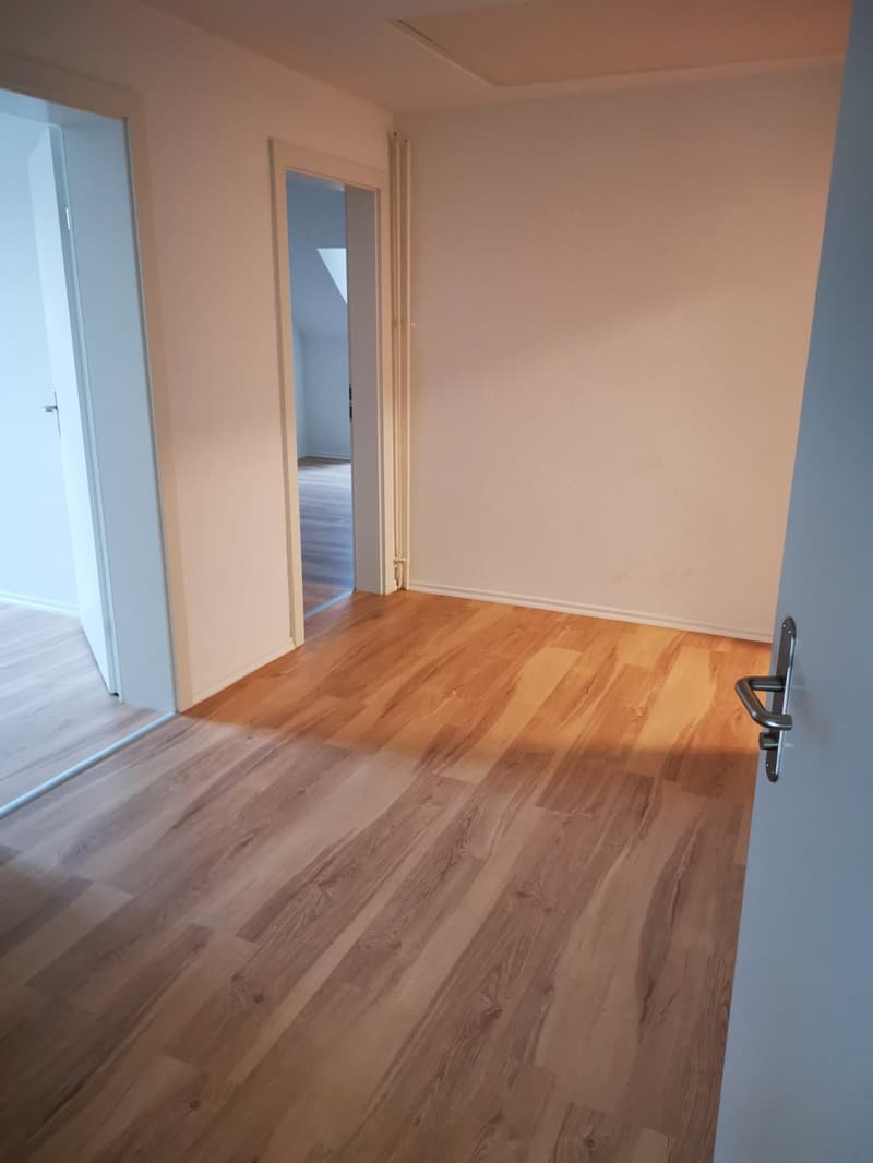 Charmante 3.5-Zimmer-Dachwohnung mit Balkon in Wildegg (1)