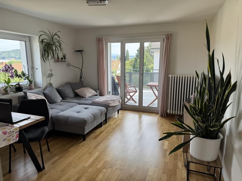 Helle 3-Zimmer-Wohnung mit Balkon in Oberwinterthur (1)