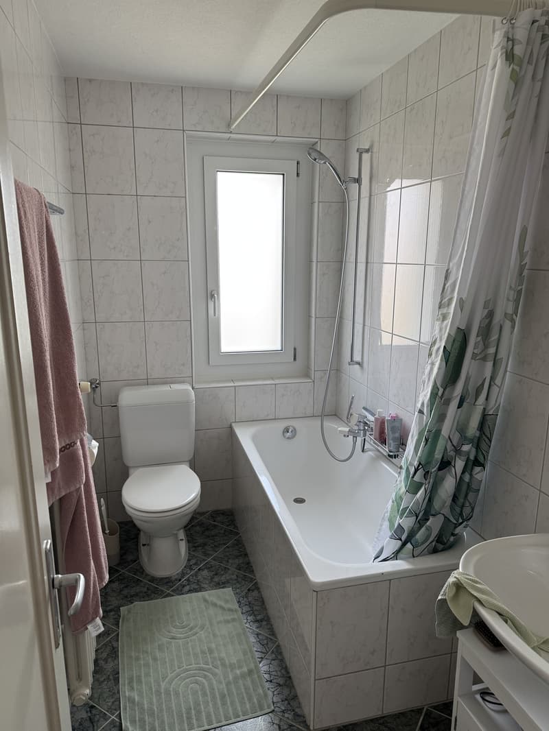 Helle 3-Zimmer-Wohnung mit Balkon in Oberwinterthur (4)