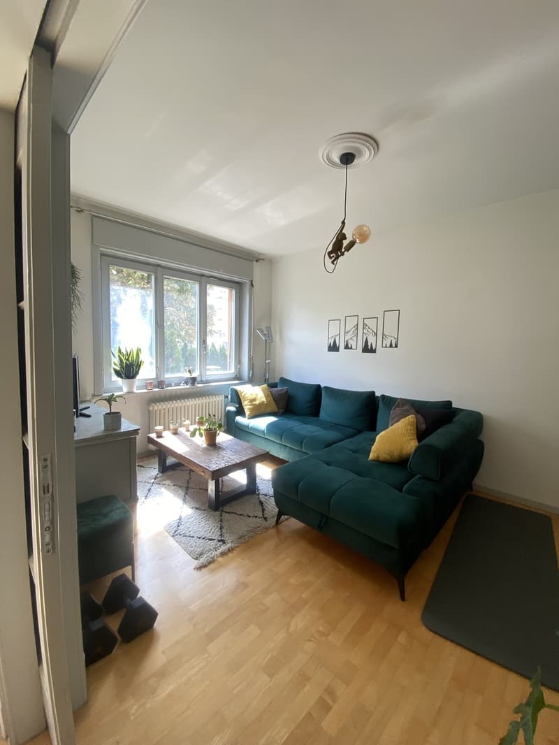 3,5 zimmer wohhnung neustadt Luzern (1)