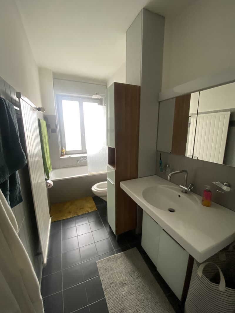 3,5 zimmer wohhnung neustadt Luzern (3)