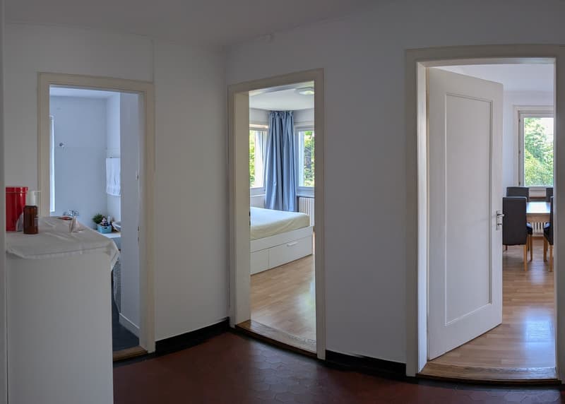 Rent a 4 room apartment in Waldgarten, Zurich (4)