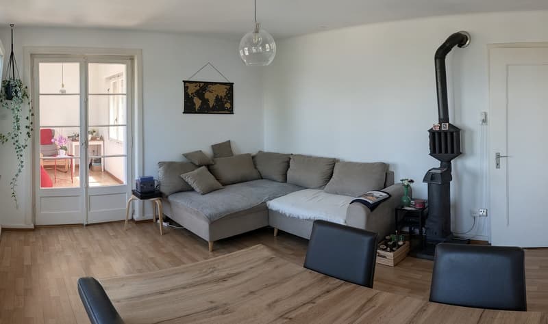 Rent a 4 room apartment in Waldgarten, Zurich (2)