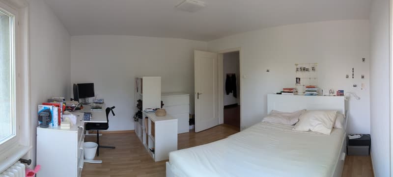 Rent a 4 room apartment in Waldgarten, Zurich (9)