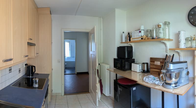 Rent a 4 room apartment in Waldgarten, Zurich (6)