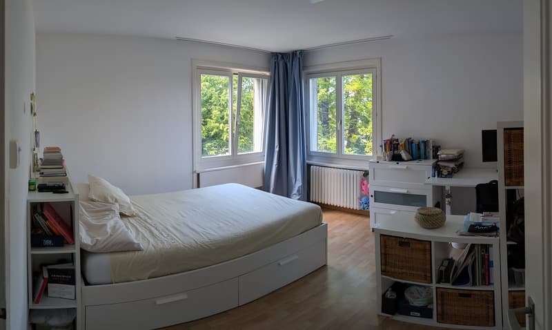 Rent a 4 room apartment in Waldgarten, Zurich (8)